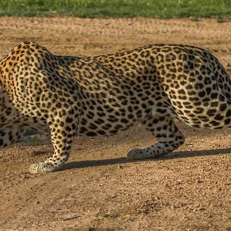 Monwana Villa Thornybush Game Reserve Exterior foto